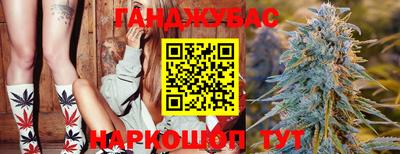 прущие грибы Апшеронск