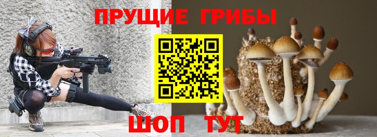 купить наркотик  Псилоцибиновые грибы GOLDEN TEACHER  Вход с VPN  Богородицк 